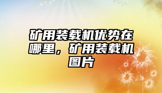 礦用裝載機優勢在哪里，礦用裝載機圖片