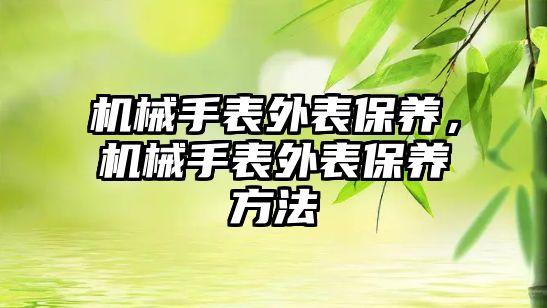 機械手表外表保養，機械手表外表保養方法