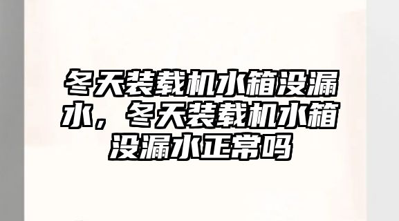 冬天裝載機水箱沒漏水，冬天裝載機水箱沒漏水正常嗎