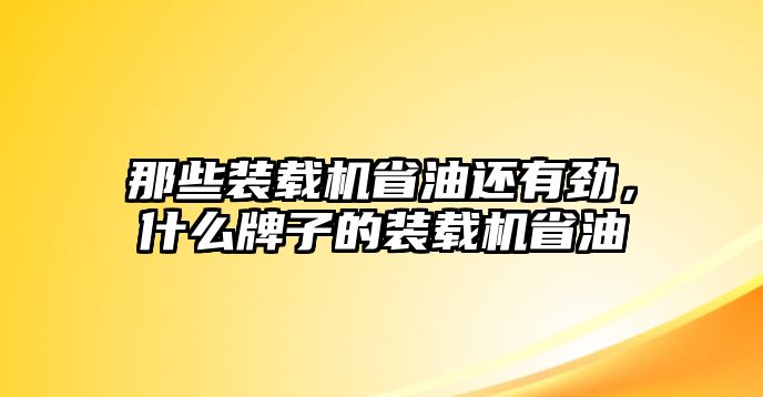 那些裝載機省油還有勁，什么牌子的裝載機省油