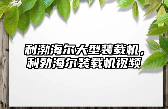 利渤海爾大型裝載機，利勃海爾裝載機視頻