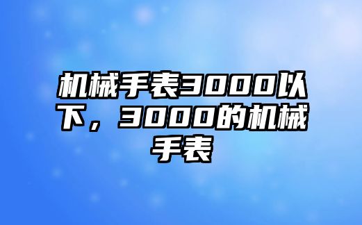 機械手表3000以下，3000的機械手表