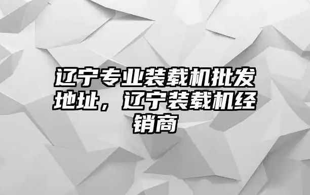 遼寧專業裝載機批發地址，遼寧裝載機經銷商