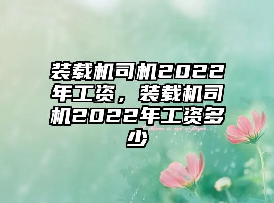 裝載機司機2022年工資，裝載機司機2022年工資多少