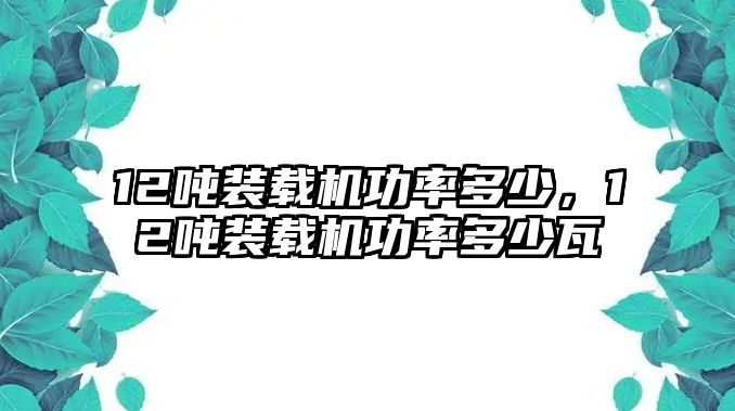 12噸裝載機功率多少，12噸裝載機功率多少瓦