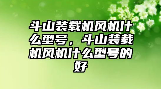 斗山裝載機風機什么型號，斗山裝載機風機什么型號的好