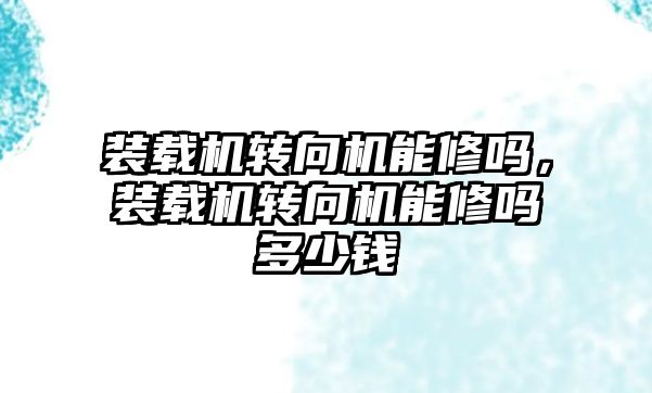 裝載機轉向機能修嗎，裝載機轉向機能修嗎多少錢