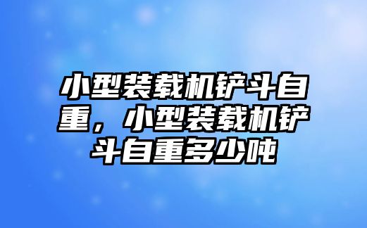 小型裝載機(jī)鏟斗自重，小型裝載機(jī)鏟斗自重多少噸