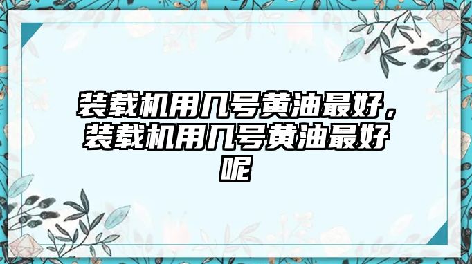 裝載機(jī)用幾號黃油最好，裝載機(jī)用幾號黃油最好呢