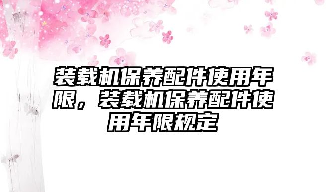 裝載機保養(yǎng)配件使用年限，裝載機保養(yǎng)配件使用年限規(guī)定