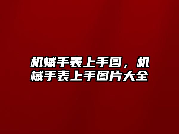 機械手表上手圖，機械手表上手圖片大全