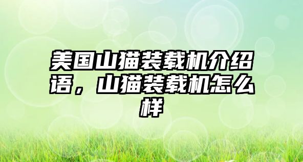 美國山貓裝載機介紹語，山貓裝載機怎么樣