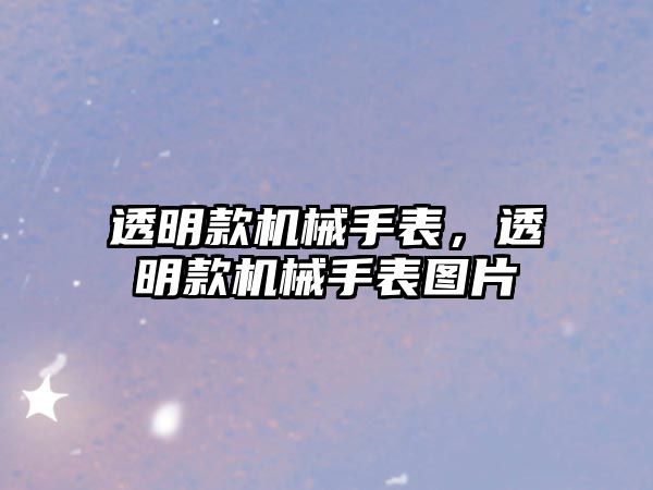 透明款機械手表，透明款機械手表圖片