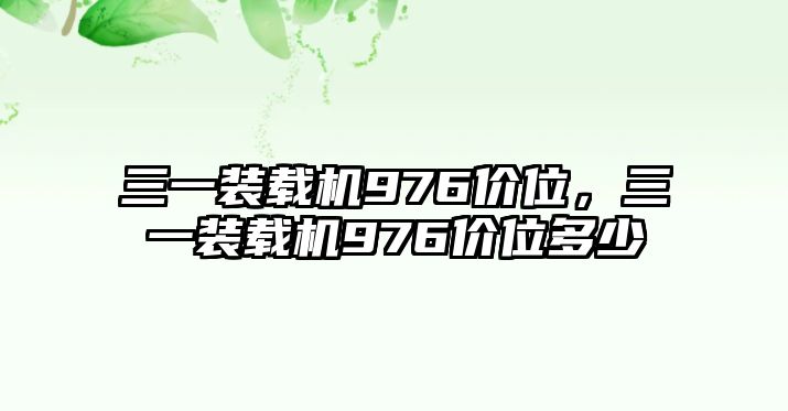 三一裝載機976價位，三一裝載機976價位多少