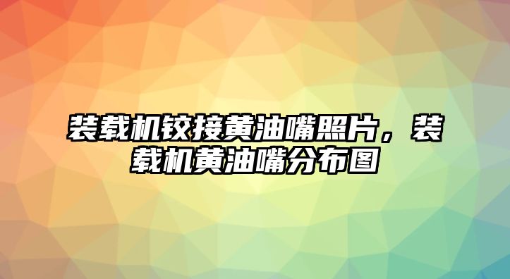 裝載機鉸接黃油嘴照片，裝載機黃油嘴分布圖