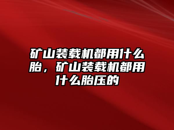 礦山裝載機都用什么胎，礦山裝載機都用什么胎壓的