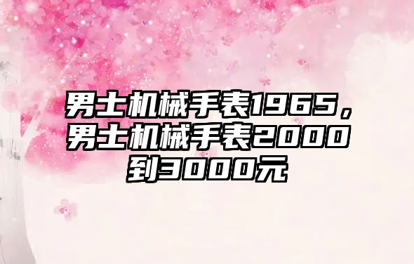 男士機(jī)械手表1965，男士機(jī)械手表2000到3000元