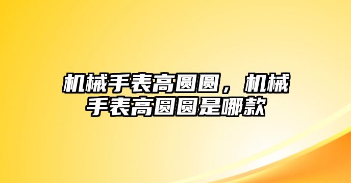 機械手表高圓圓，機械手表高圓圓是哪款