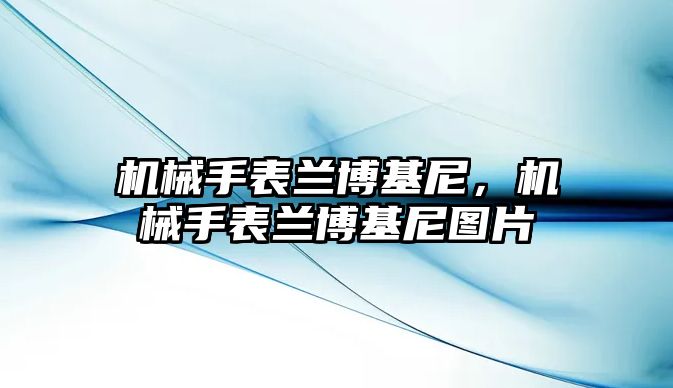 機械手表蘭博基尼，機械手表蘭博基尼圖片