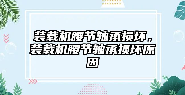 裝載機腰節軸承損壞，裝載機腰節軸承損壞原因