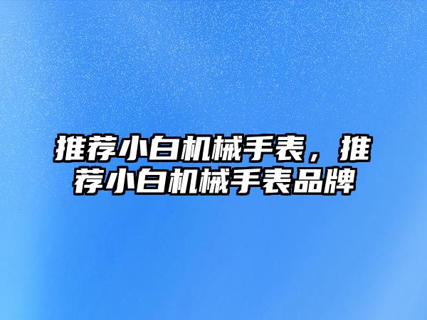 推薦小白機械手表，推薦小白機械手表品牌