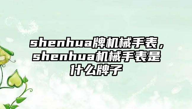 shenhua牌機械手表，shenhua機械手表是什么牌子