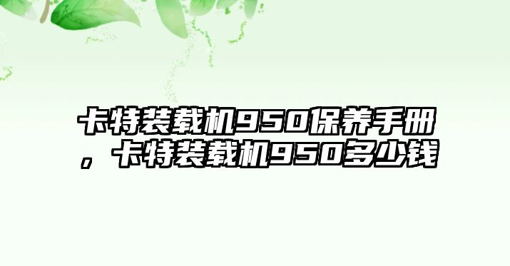 卡特裝載機950保養手冊，卡特裝載機950多少錢