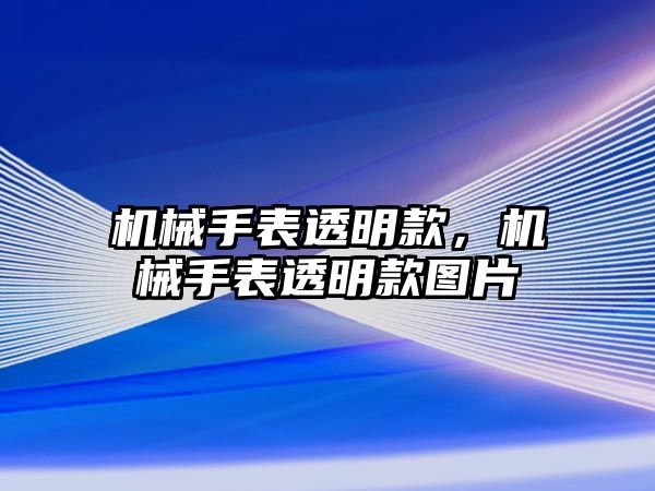 機械手表透明款，機械手表透明款圖片