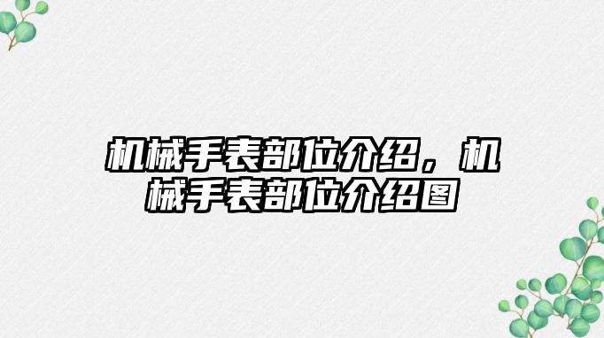 機械手表部位介紹，機械手表部位介紹圖