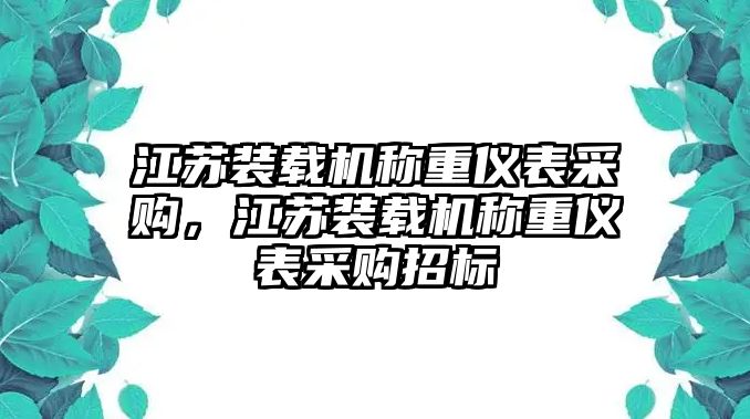 江蘇裝載機(jī)稱重儀表采購，江蘇裝載機(jī)稱重儀表采購招標(biāo)