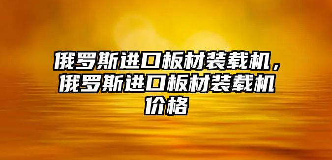 俄羅斯進口板材裝載機，俄羅斯進口板材裝載機價格