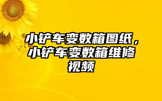 小鏟車變數(shù)箱圖紙，小鏟車變數(shù)箱維修視頻