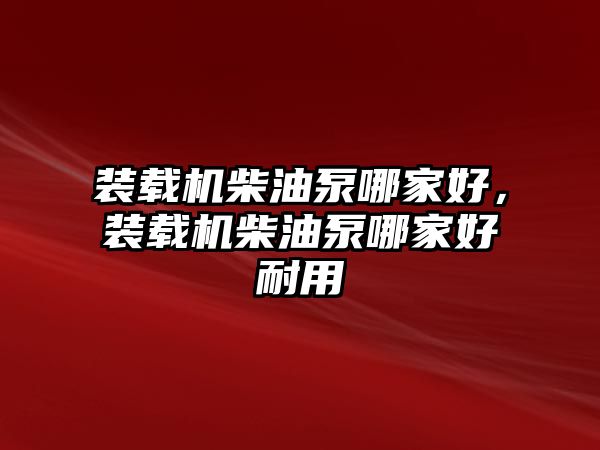 裝載機柴油泵哪家好，裝載機柴油泵哪家好耐用