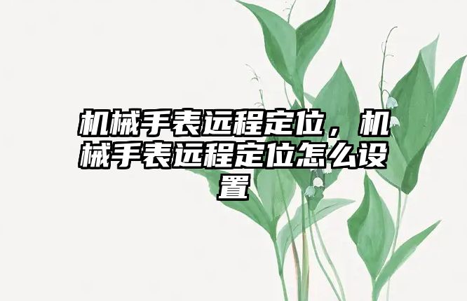 機械手表遠程定位，機械手表遠程定位怎么設置