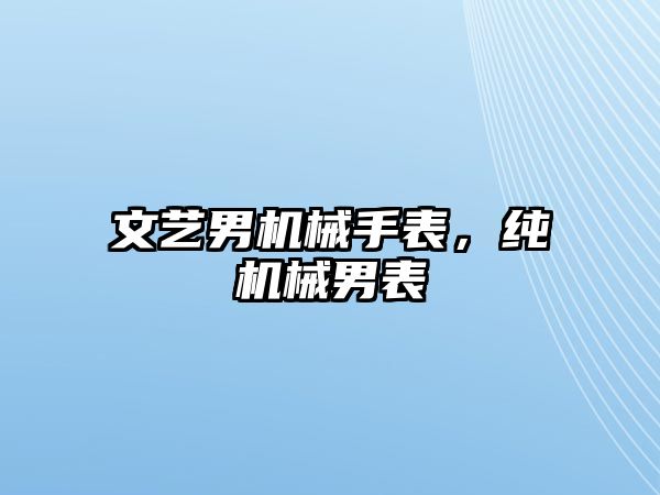 文藝男機械手表，純機械男表