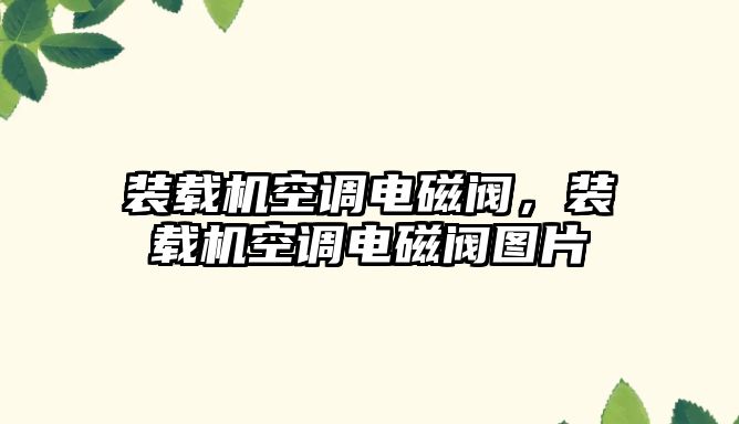 裝載機空調電磁閥，裝載機空調電磁閥圖片