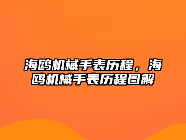 海鷗機(jī)械手表歷程，海鷗機(jī)械手表歷程圖解