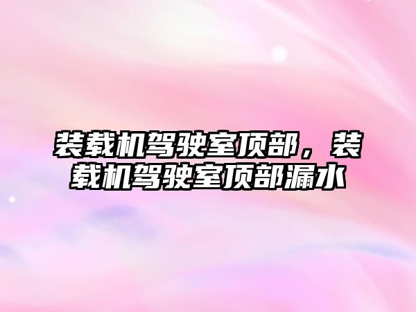 裝載機駕駛室頂部，裝載機駕駛室頂部漏水