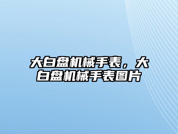 大白盤機械手表，大白盤機械手表圖片