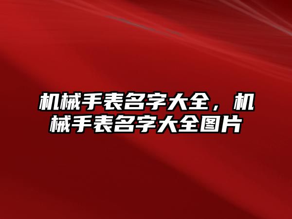 機械手表名字大全，機械手表名字大全圖片