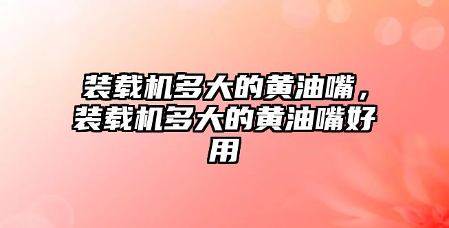 裝載機多大的黃油嘴，裝載機多大的黃油嘴好用