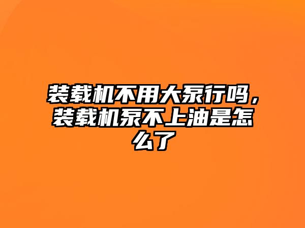 裝載機不用大泵行嗎，裝載機泵不上油是怎么了