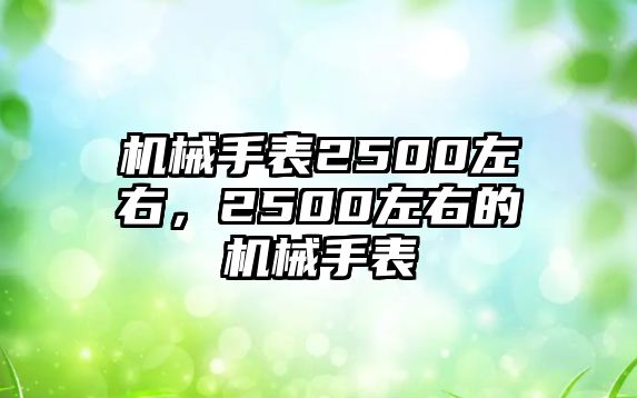 機械手表2500左右，2500左右的機械手表