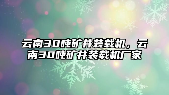 云南30噸礦井裝載機，云南30噸礦井裝載機廠家