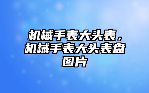 機械手表大頭表，機械手表大頭表盤圖片