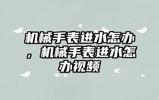 機械手表進水怎辦，機械手表進水怎辦視頻