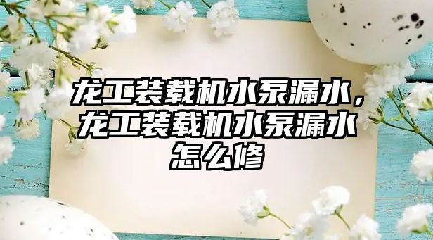 龍工裝載機水泵漏水，龍工裝載機水泵漏水怎么修