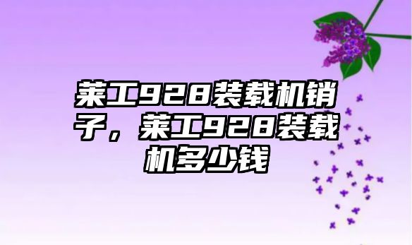 萊工928裝載機銷子，萊工928裝載機多少錢