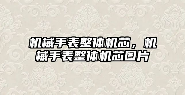 機械手表整體機芯，機械手表整體機芯圖片