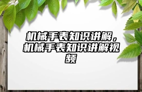 機械手表知識講解，機械手表知識講解視頻